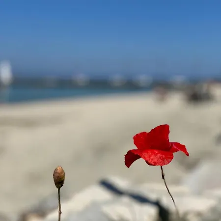 Affittacamere Bella Maisonette Pefkochori